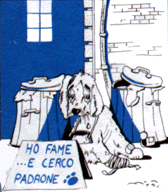 amici animali abbandonati